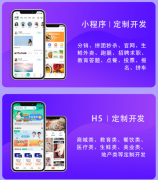 成品安卓苹果IOS应用APP定制java界面开发设计